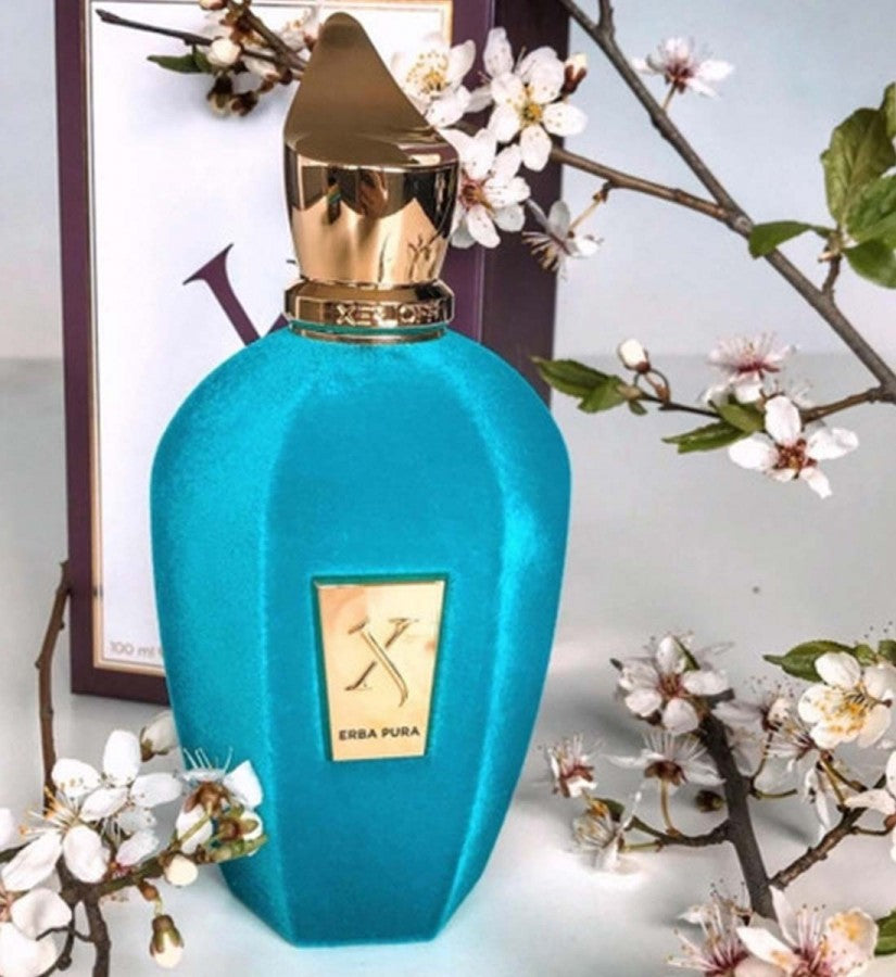 Xerjoff - V-Collection - Erba Pura EDP